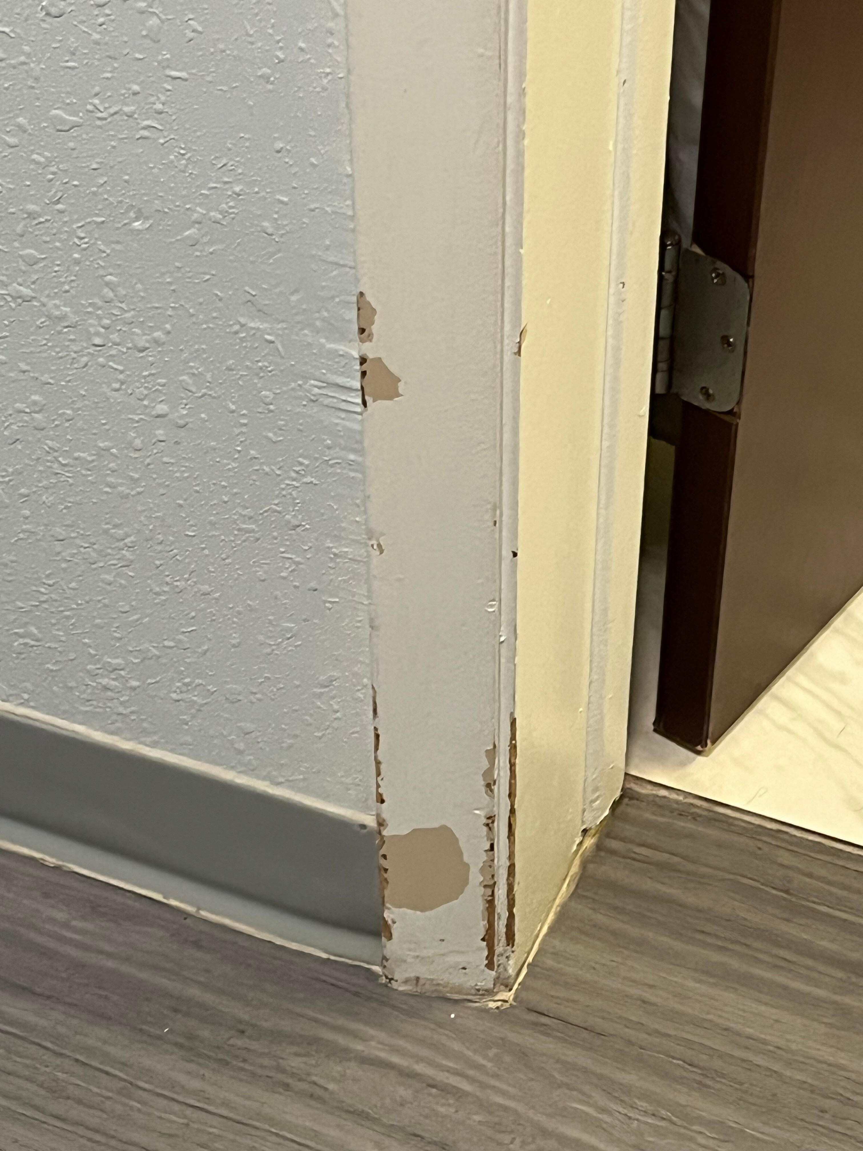 Trim and door frames inside the room