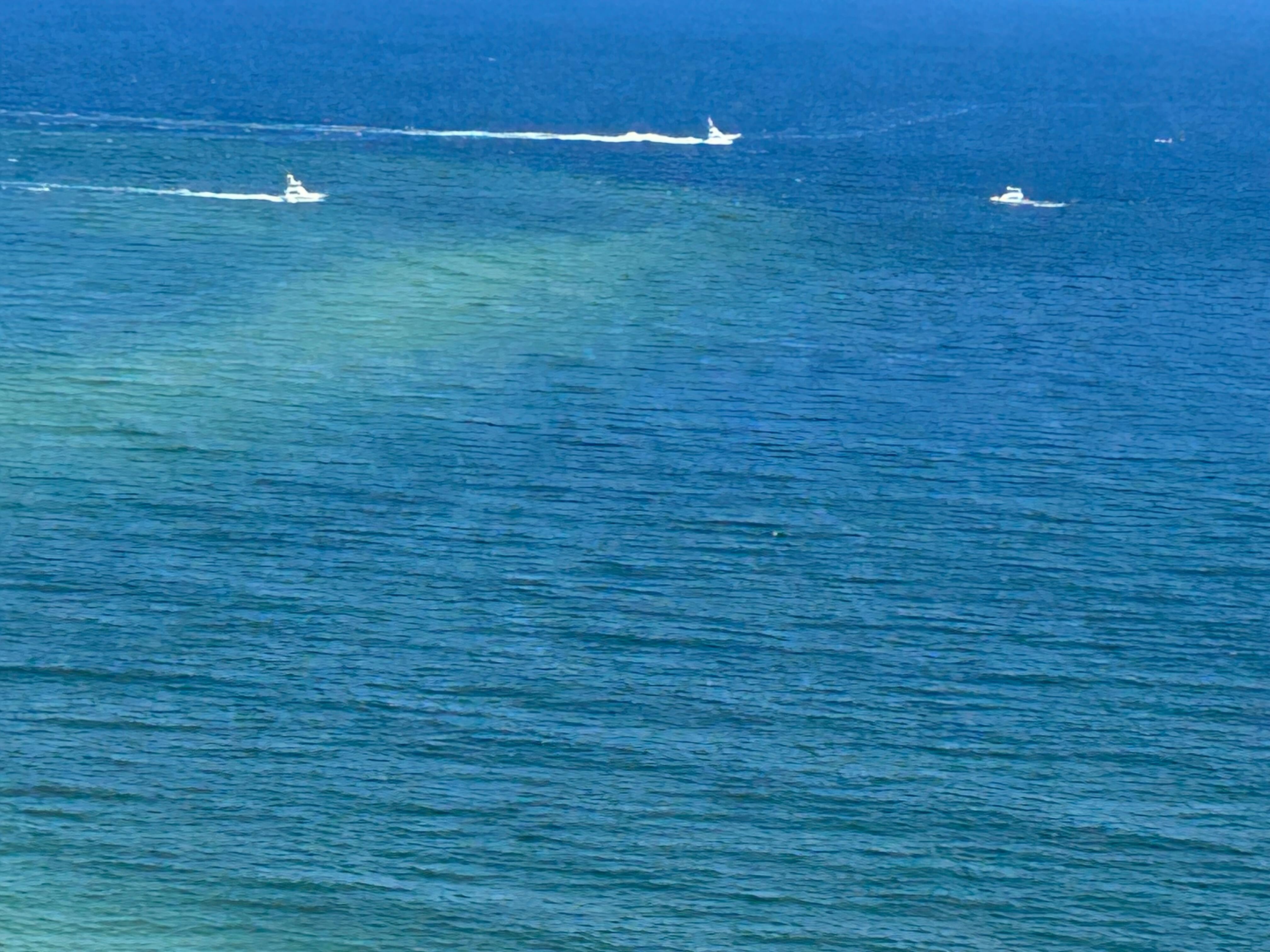 Loved watching all the boats.