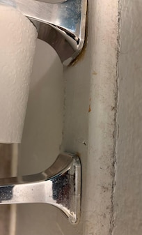 Toilet paper area had dust around it