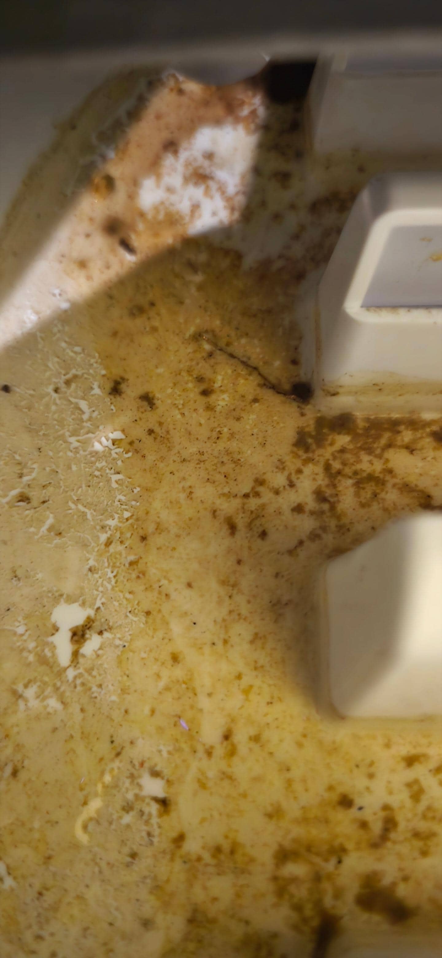 Drip tray in the mini-fridge. We did not use the fridge for our entire stay.