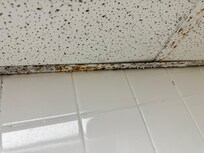 Mold in bathroom