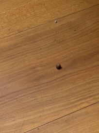 Looks like either cat food or dodo