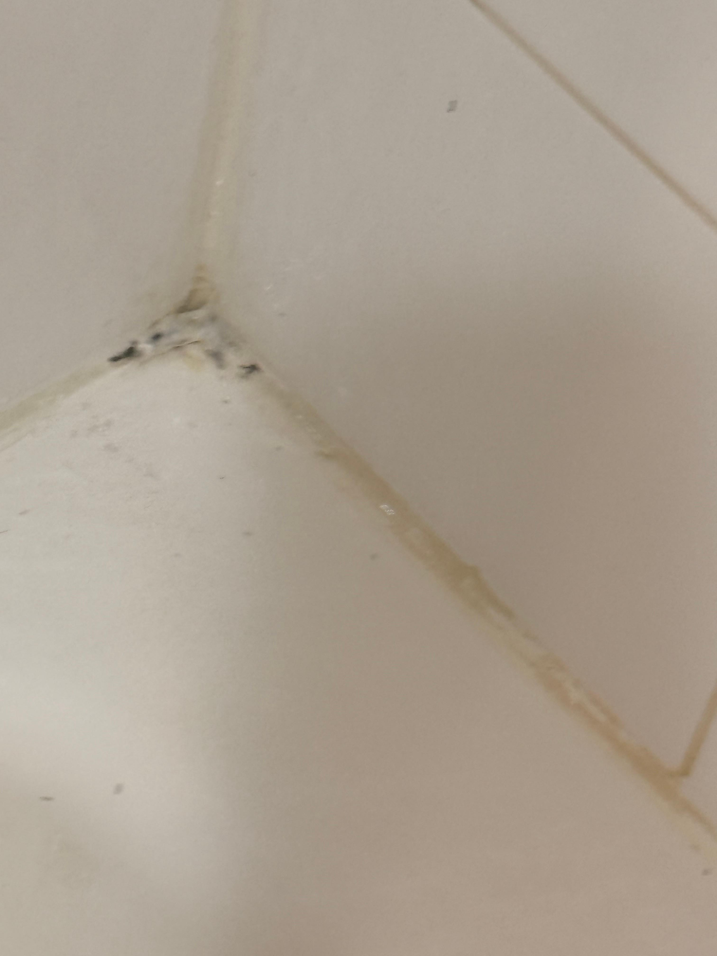 Bath tub mold