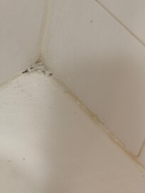 Bath tub mold