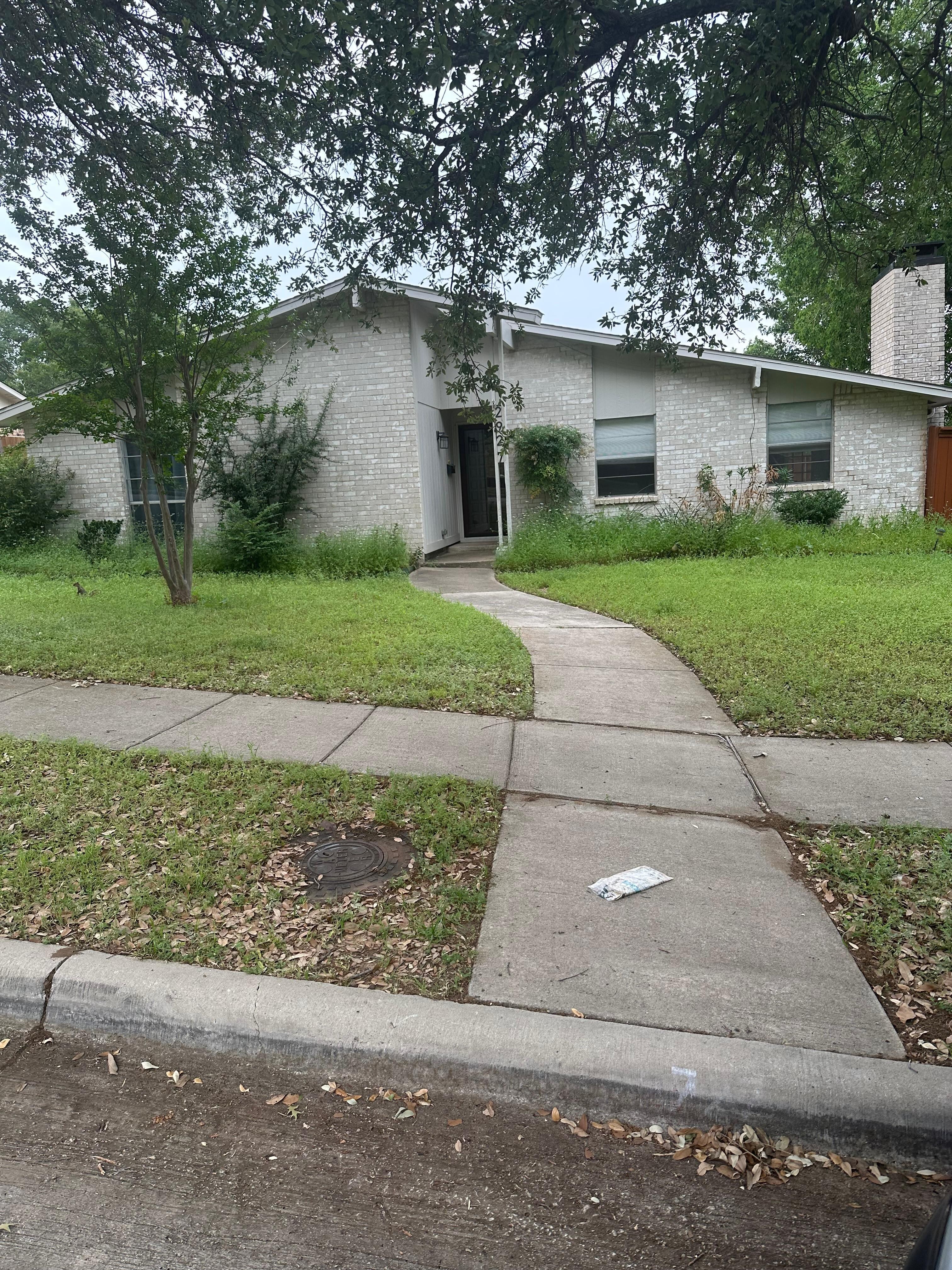Unkempt lawn