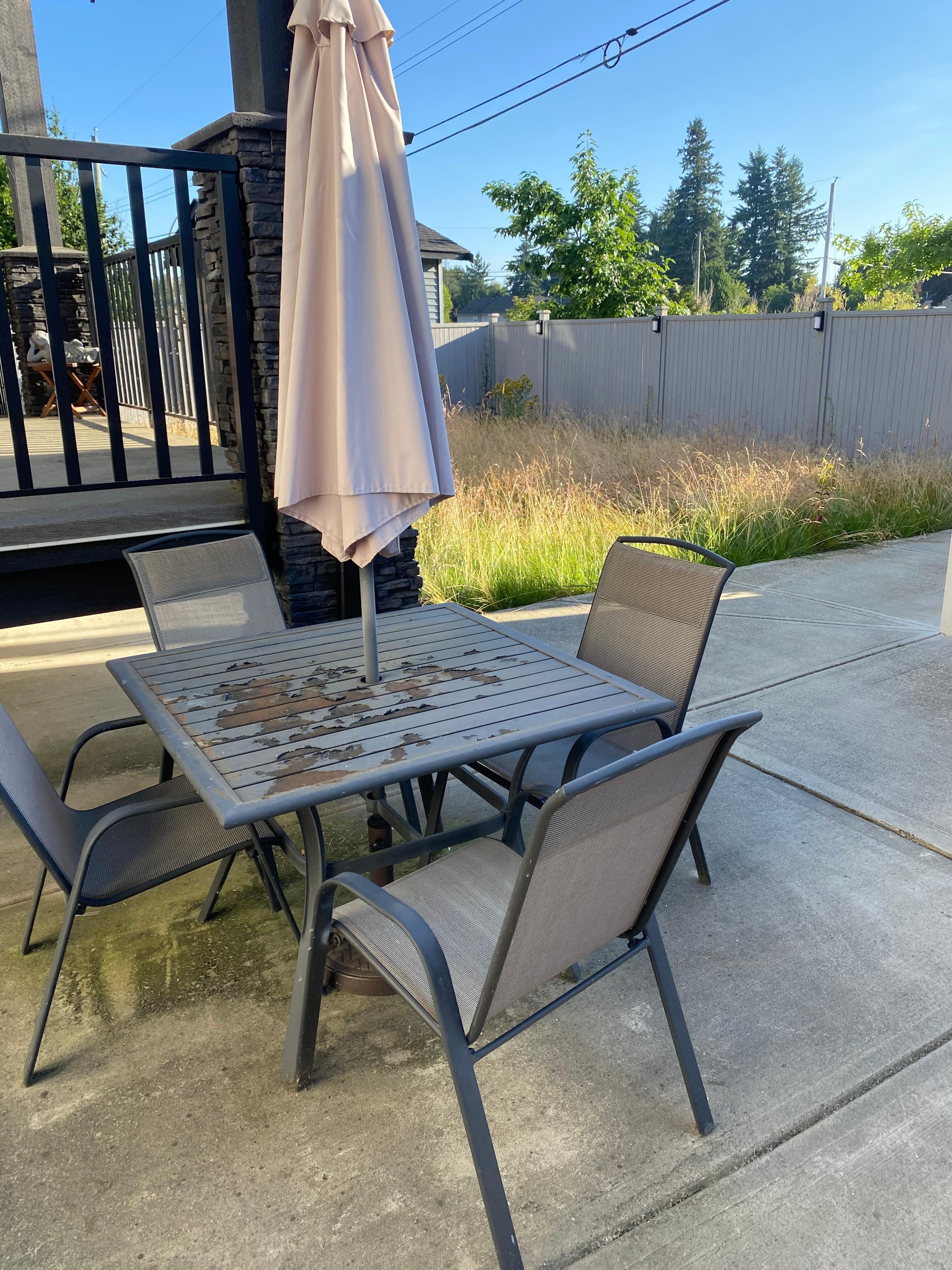 Overgrown backyard and unappealing table 