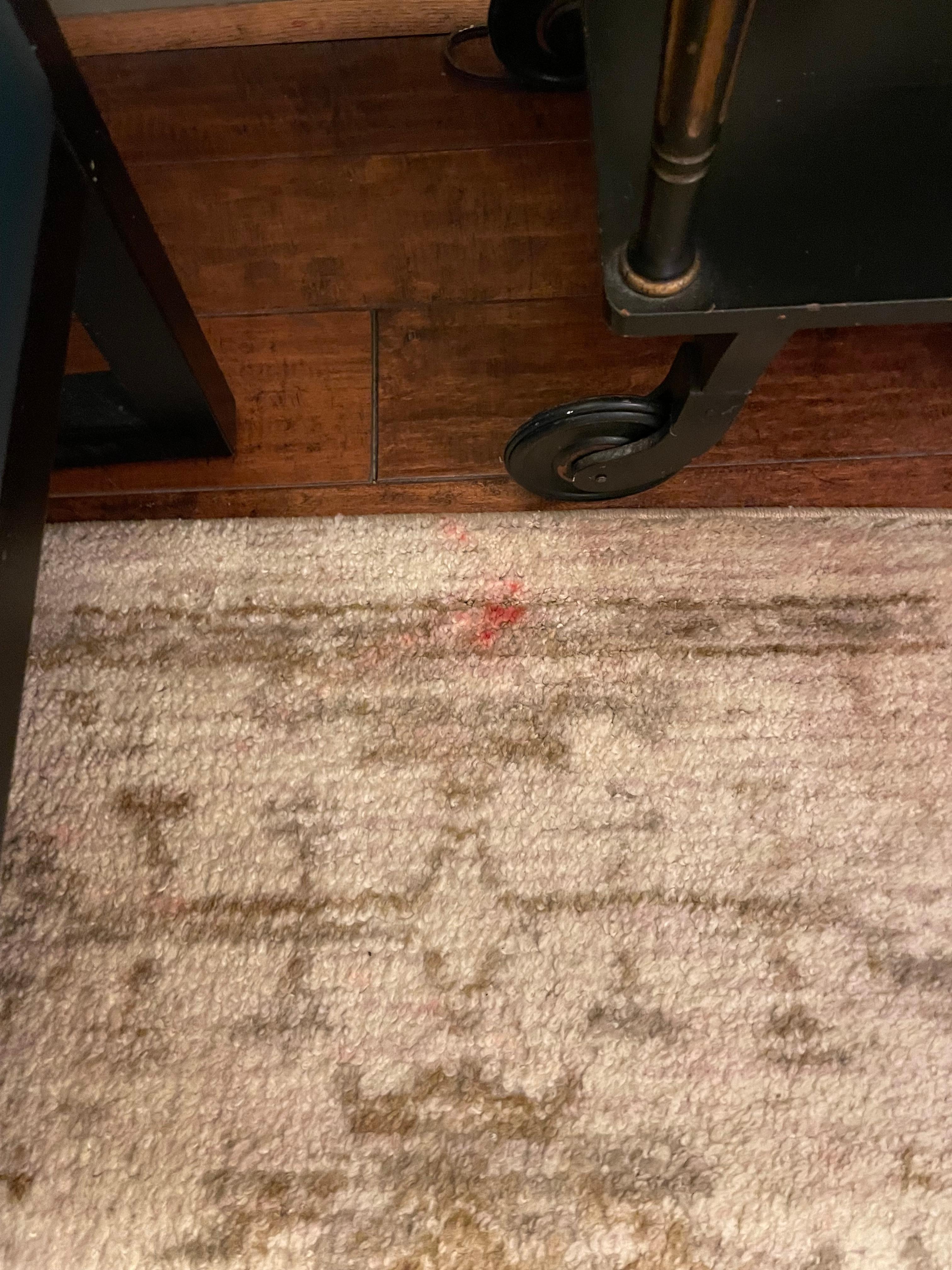 Red stains on the carpet 