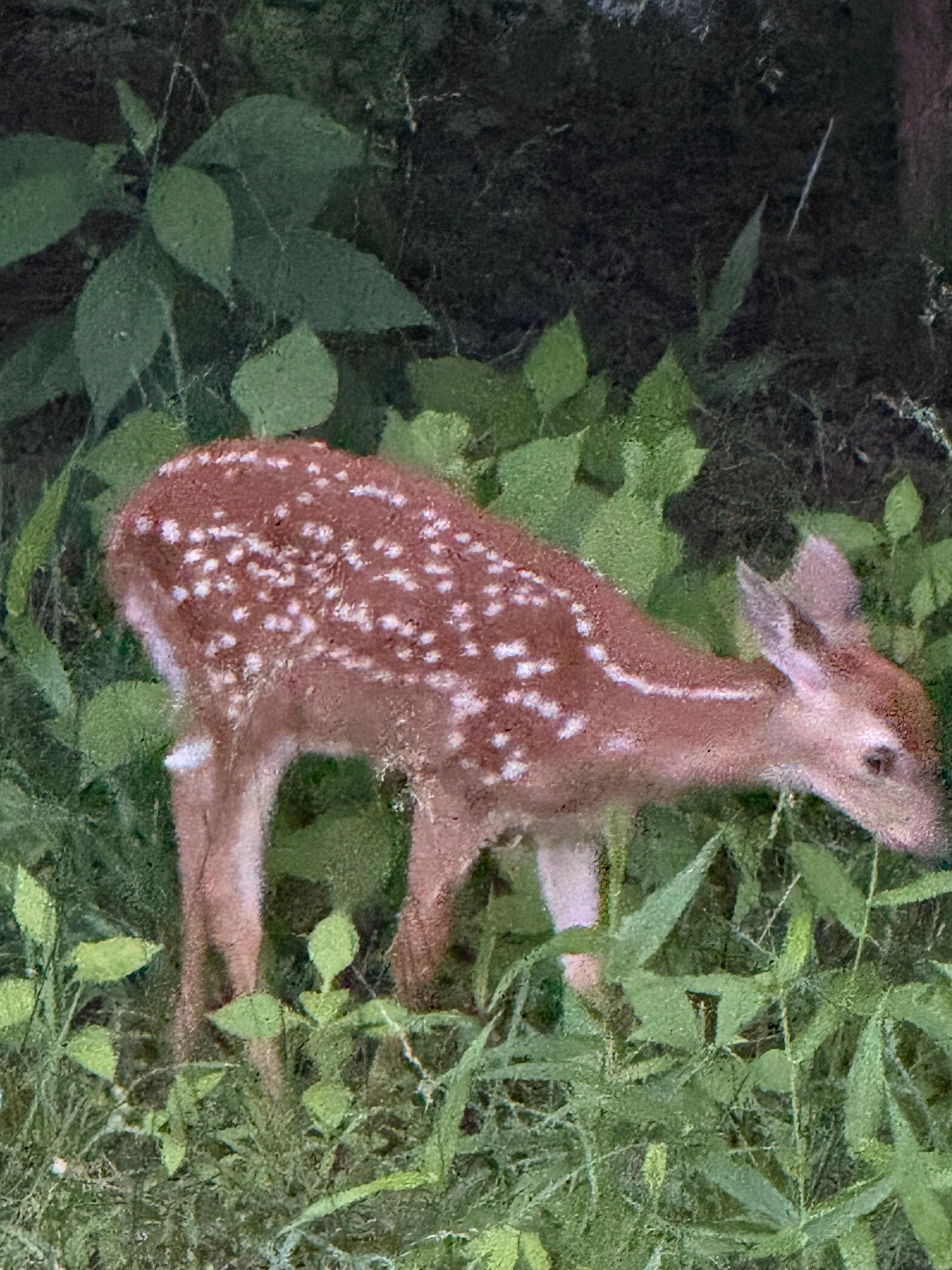 Loved seeing the wildlife