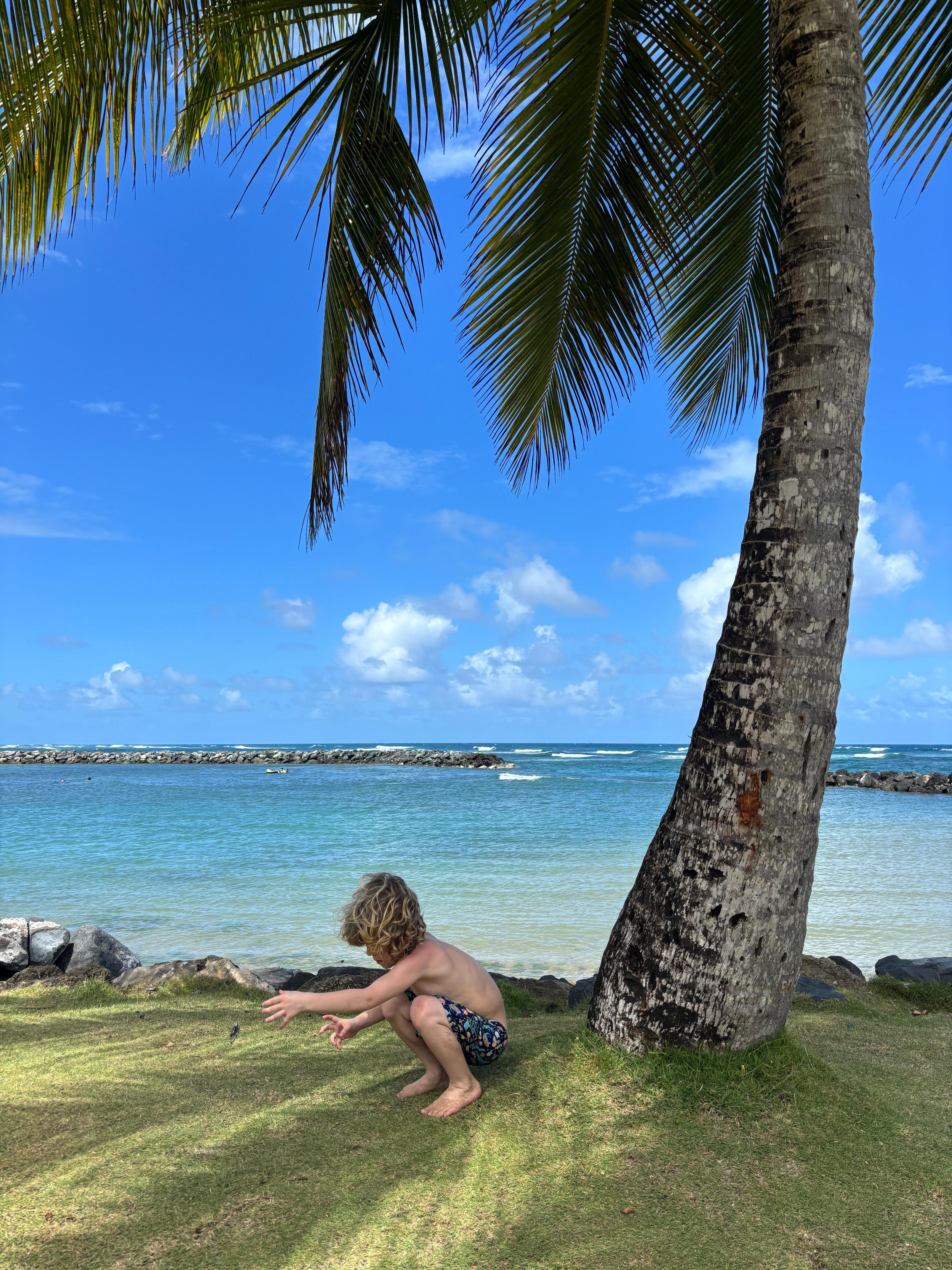 prettier beach over by white condos