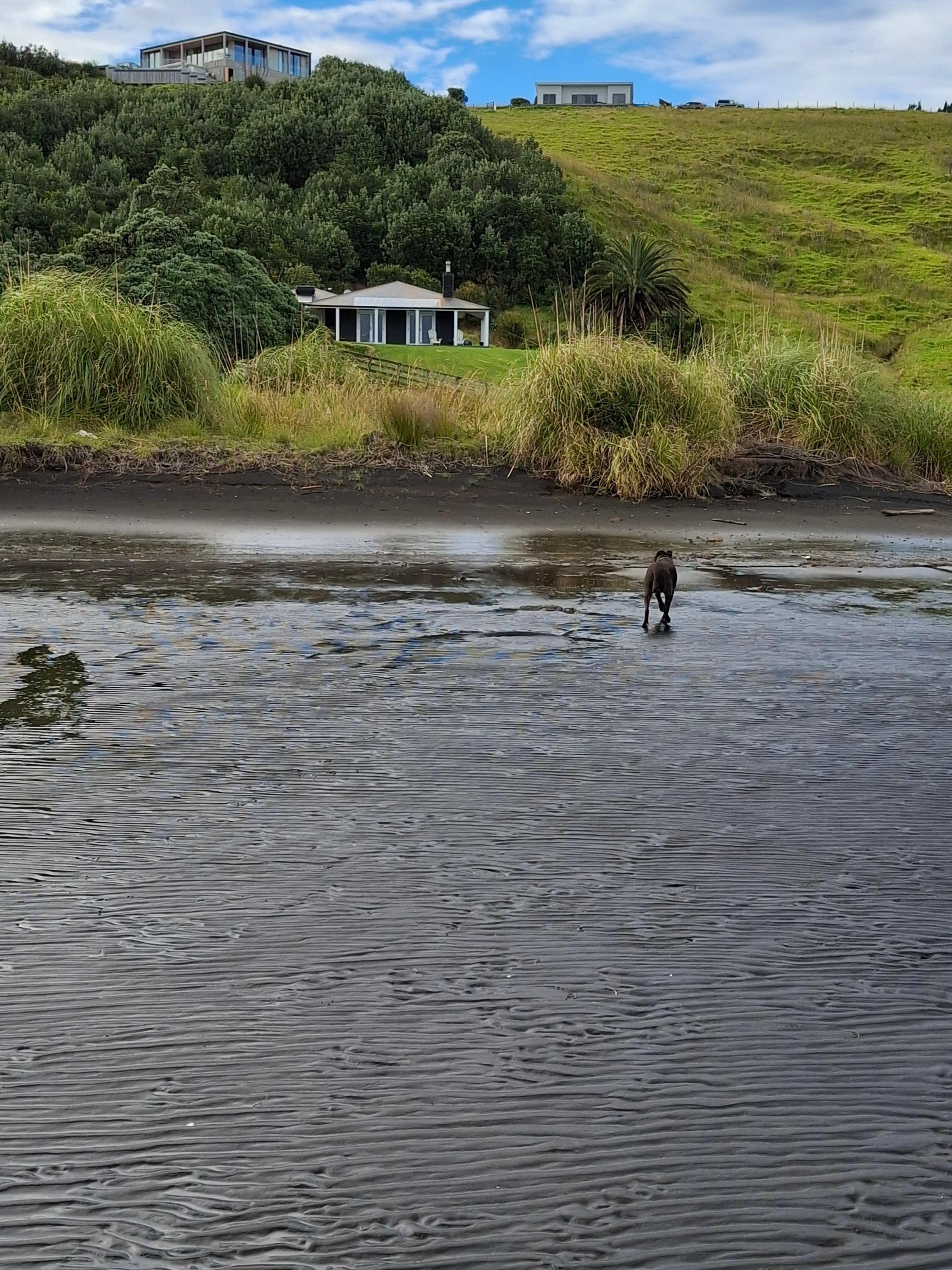 Ruru Whare from the beach, 2 minute walk.