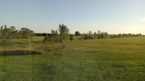 Evening view from our window