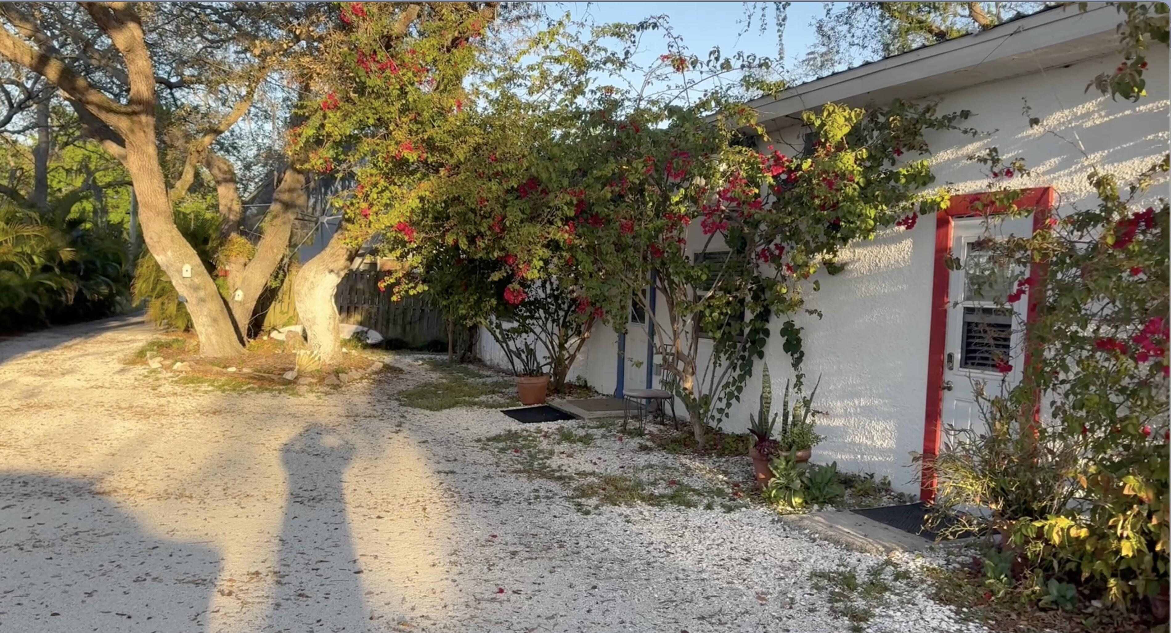 The front door.  Pretty and tidy and inviting!
