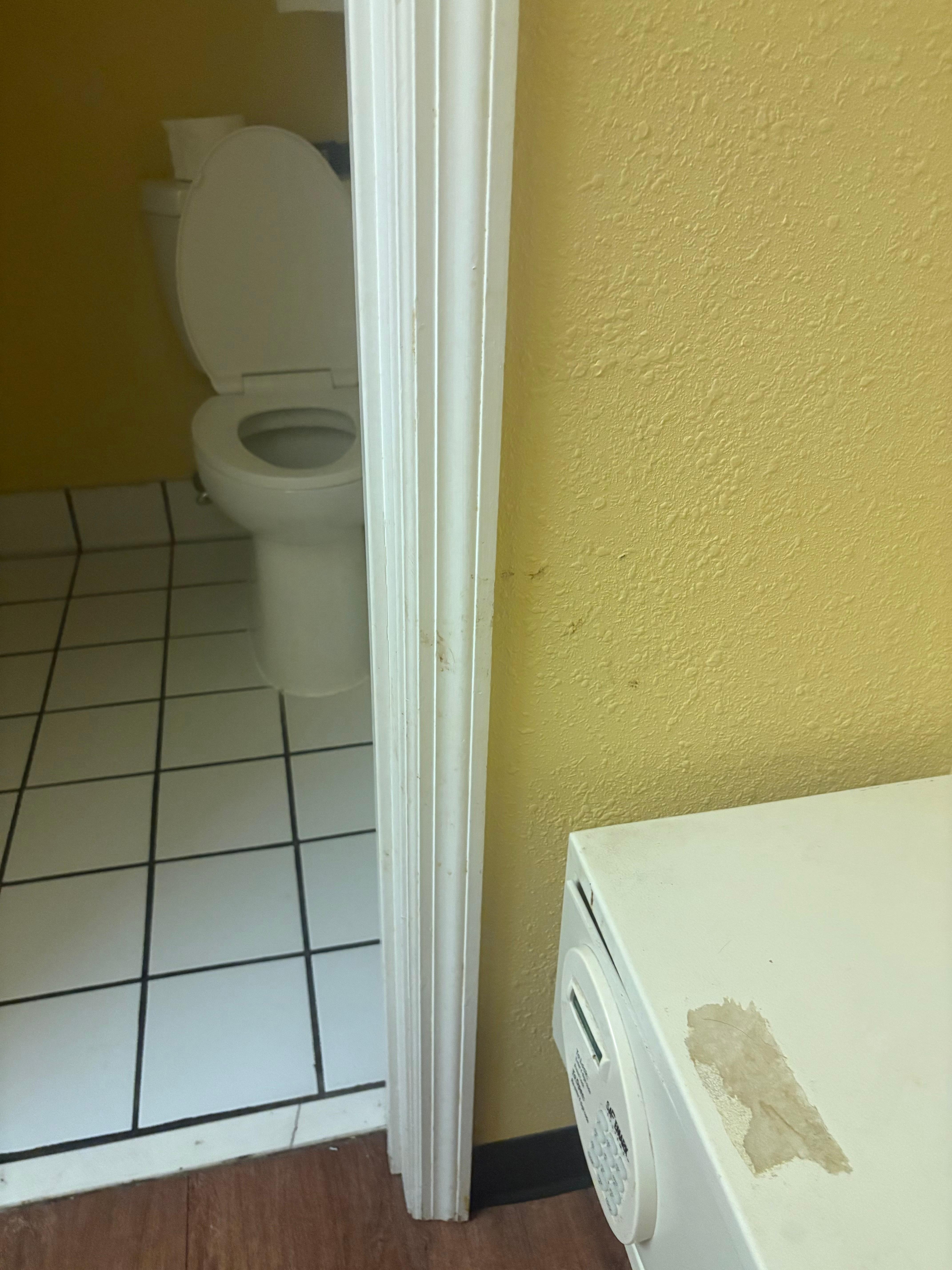 Door frame Entry to bathroom.