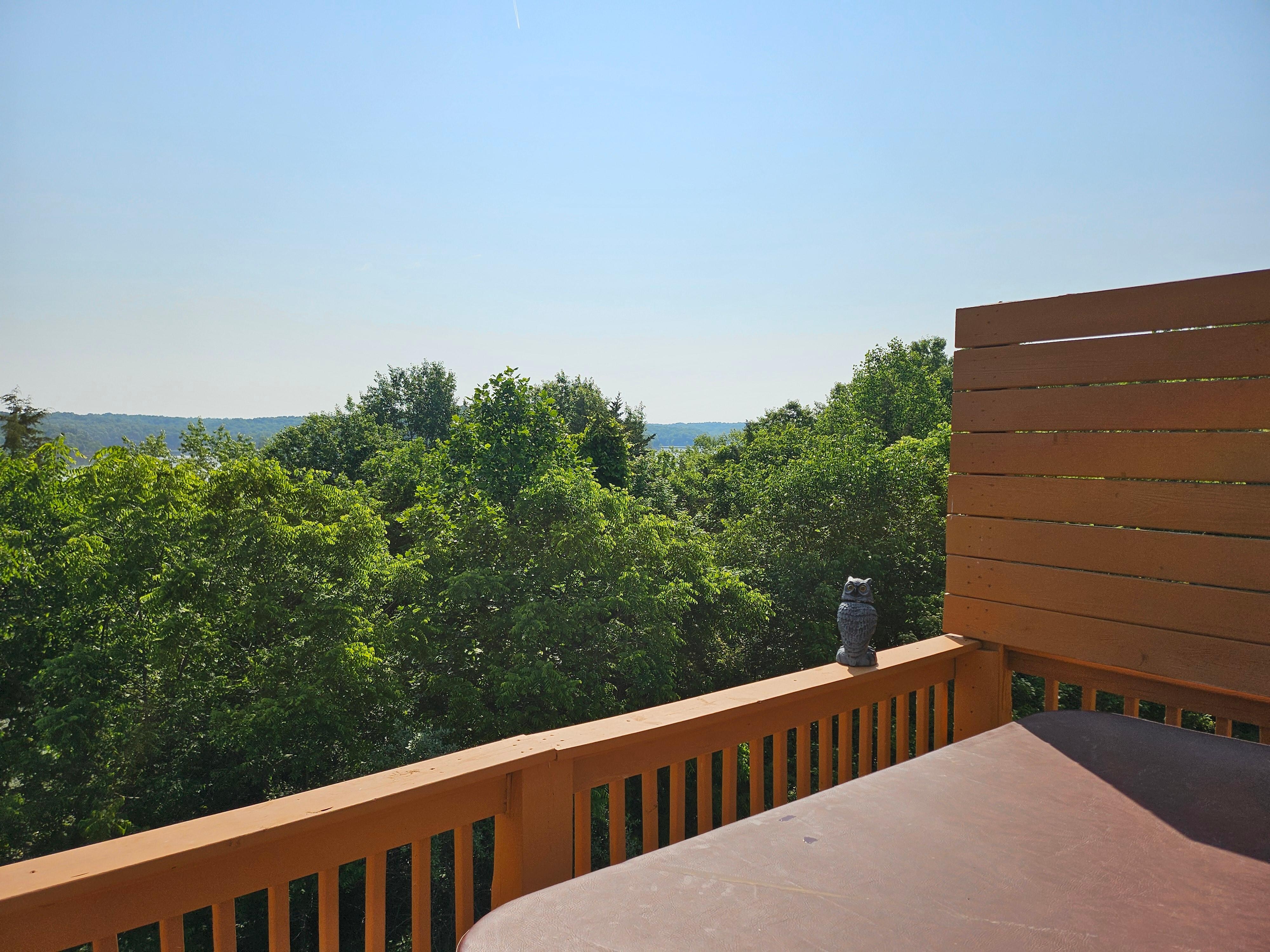 Back porch/hot tub view