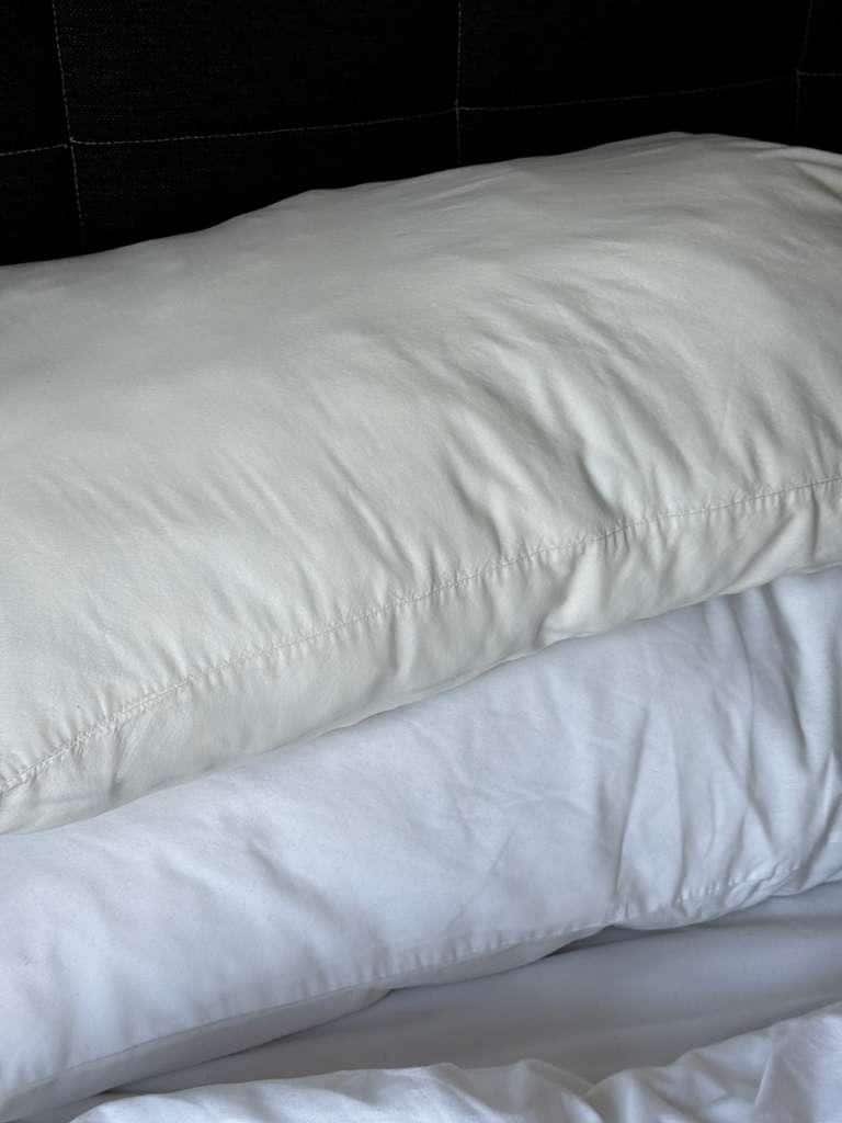 Pillows are disgusting