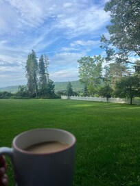 A beautiful view with my morning coffee.