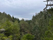 View from the top of one of the hiking trails across the street