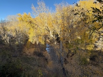 View of the creek from the balcony.