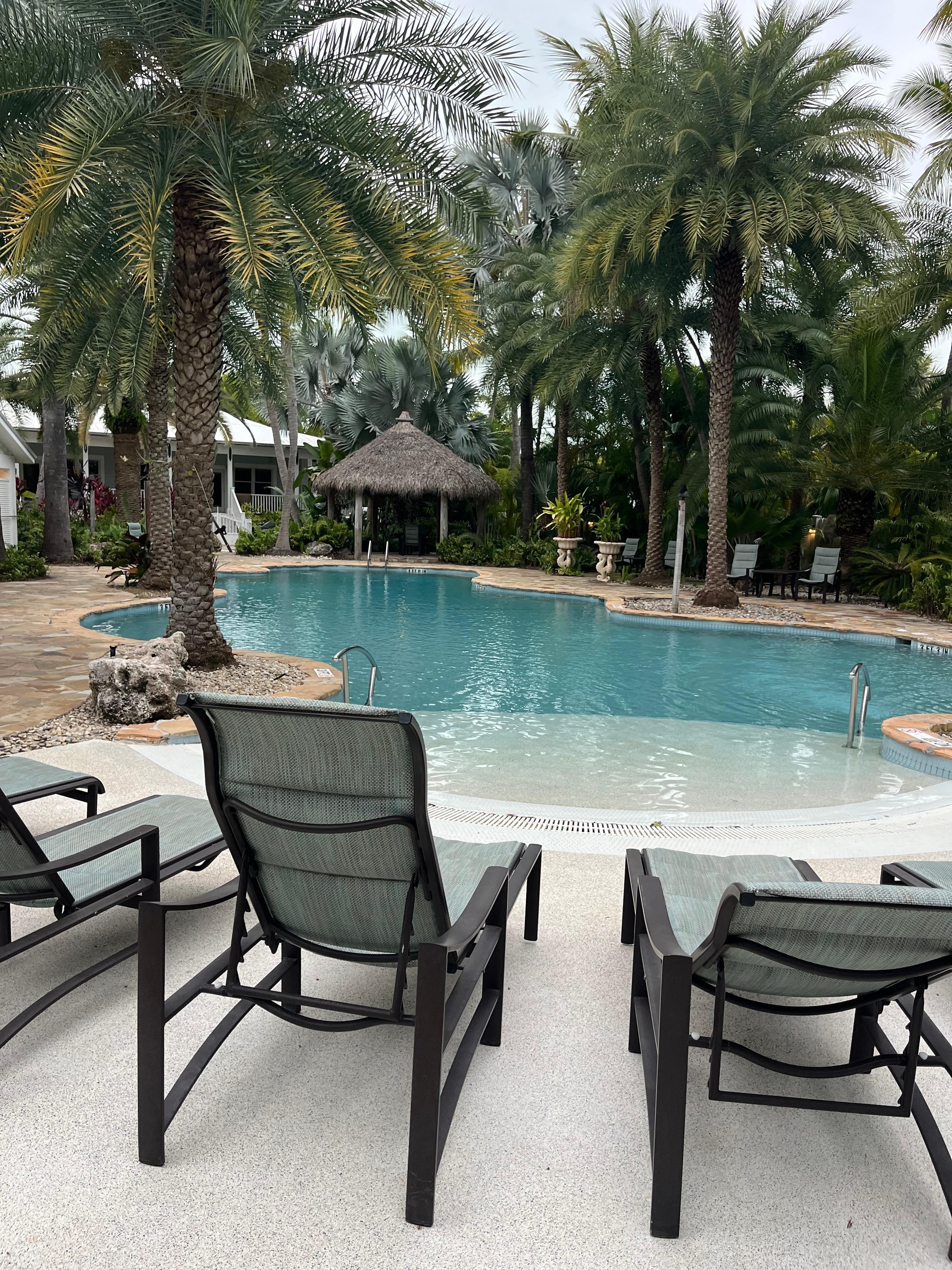 The beautiful, heated pool. 