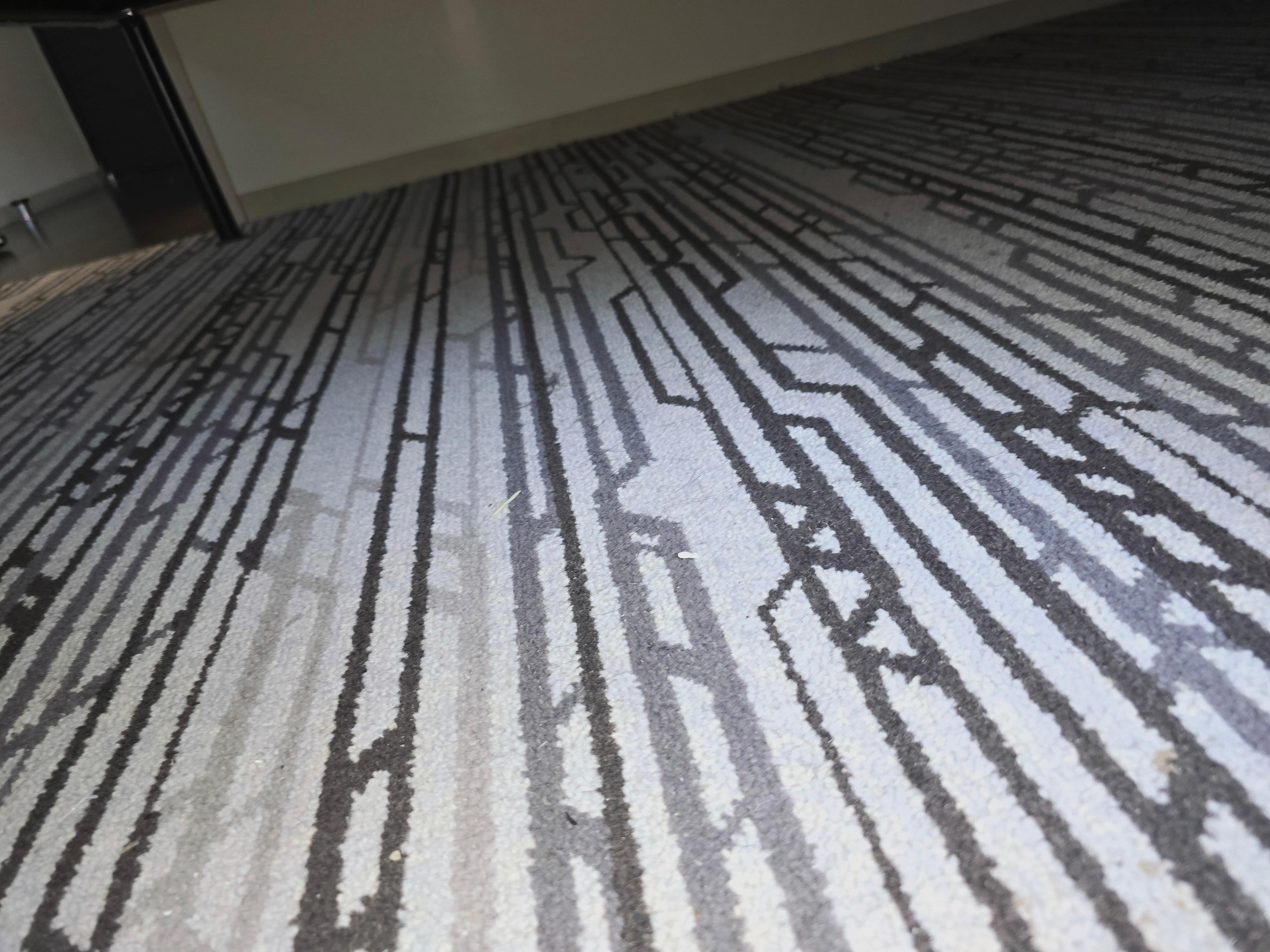 Carpet dirty and outdated 