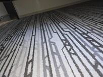 Carpet dirty and outdated