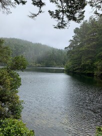 Nearby Lake Marie- easy one mile loop trail.