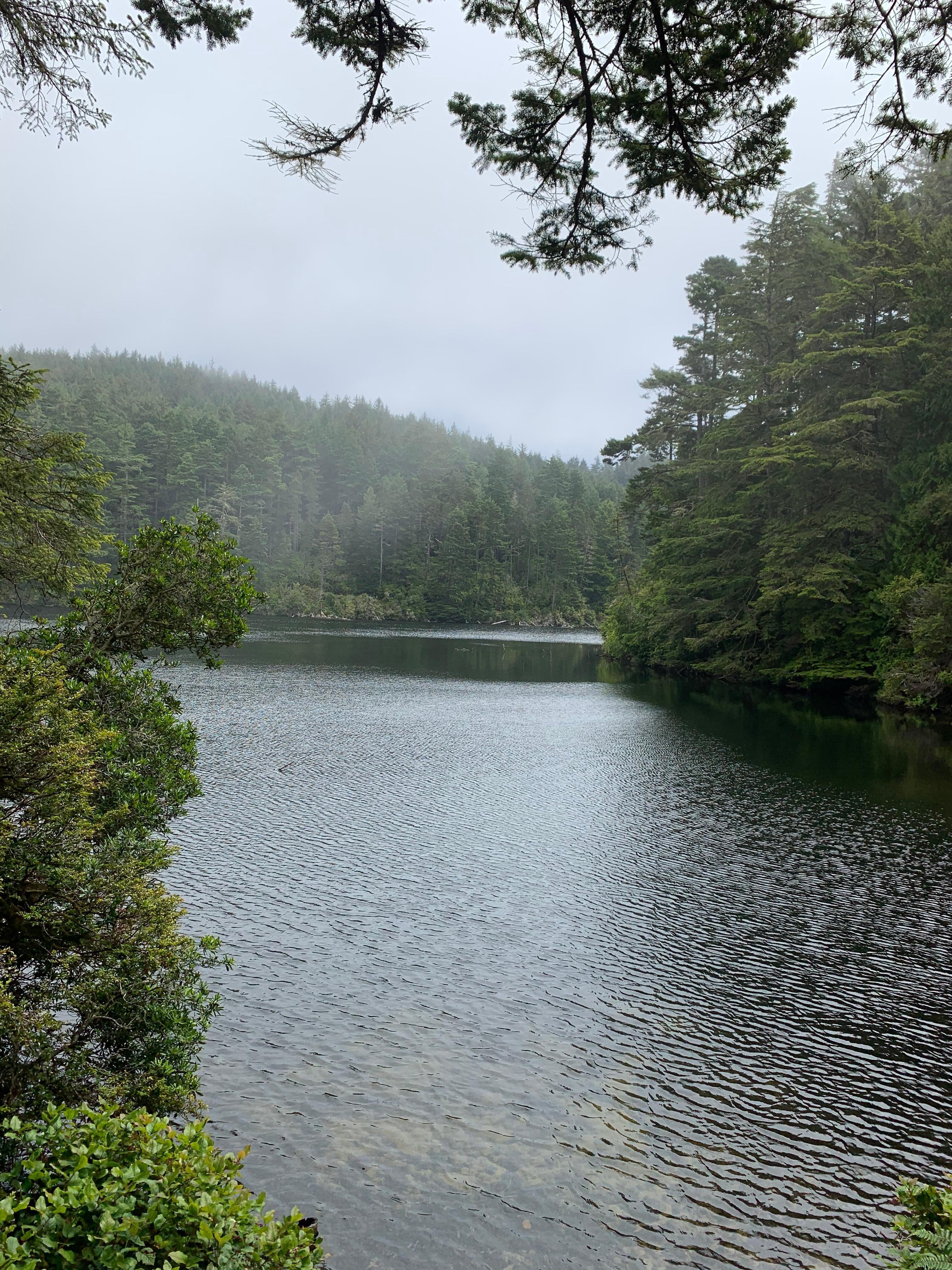Nearby Lake Marie- easy one mile loop trail. 