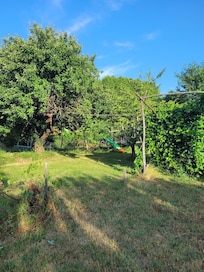 Terrain