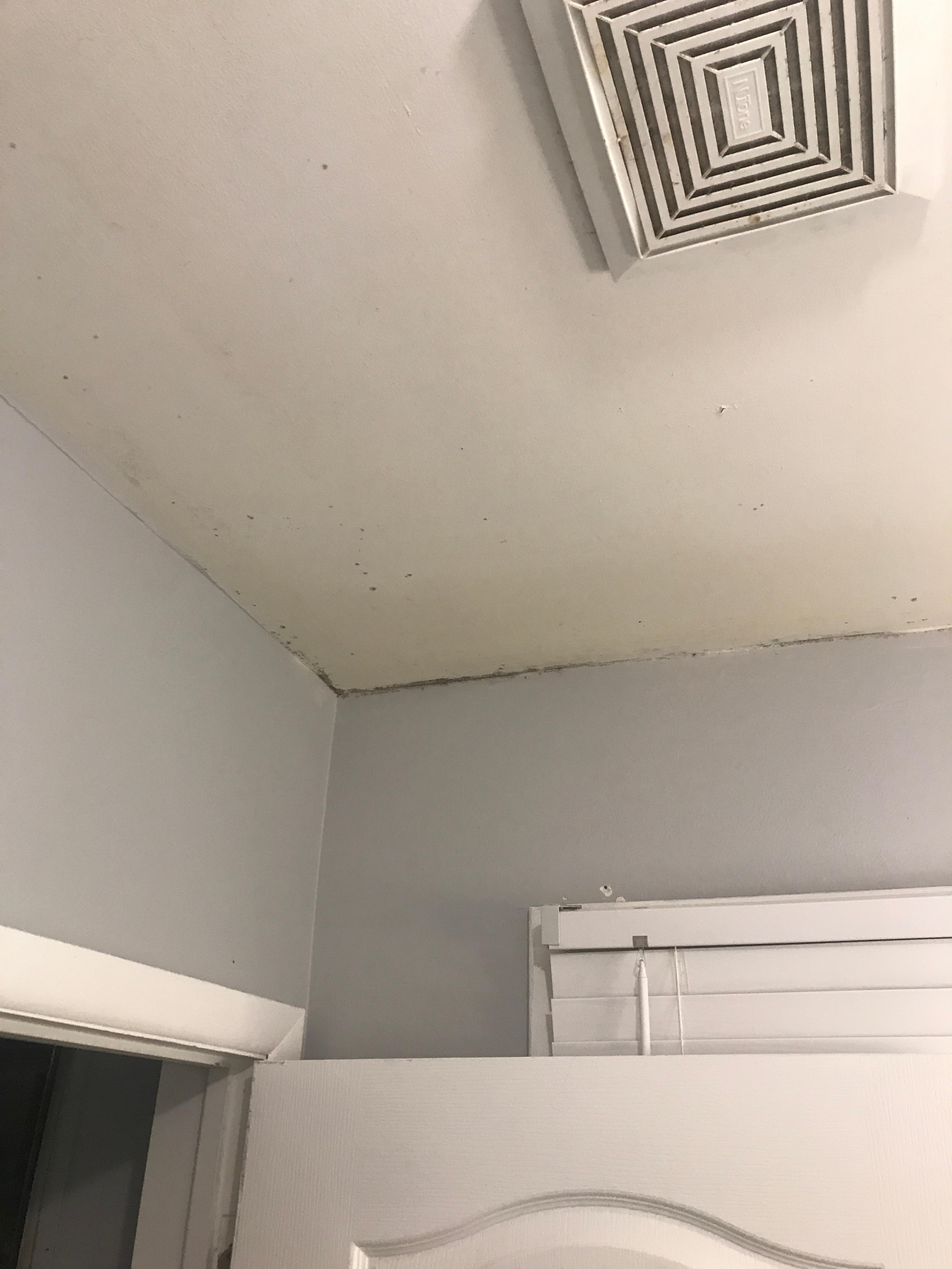 Black mold on ceiling and dirty fan that doesn't work.