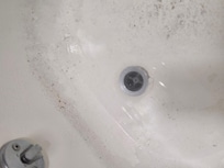 Tub had about 4 inches of standing dirty water that looked like someone gave their muddy dog a bath and forgot to empty