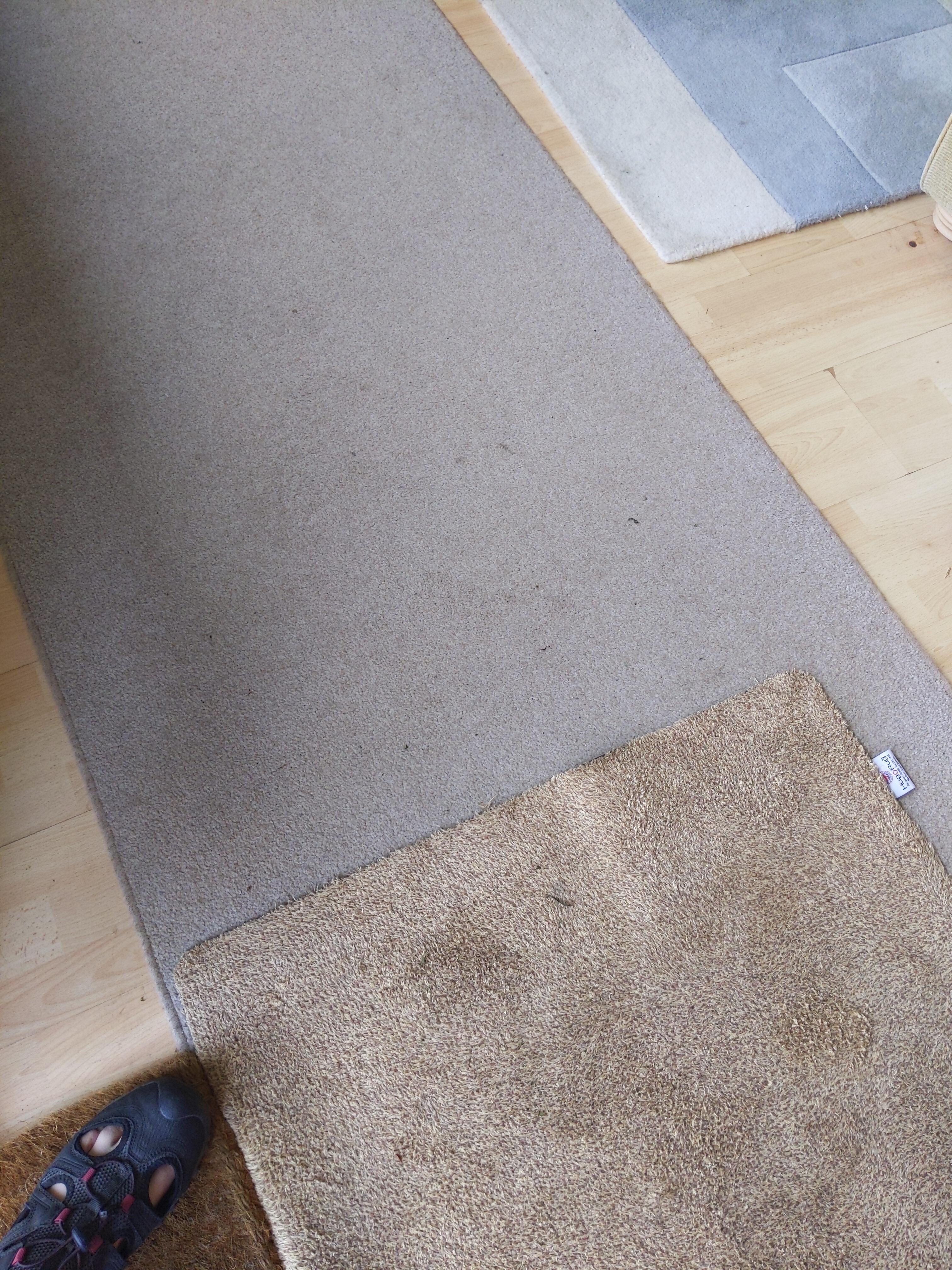 Dirty carpets 