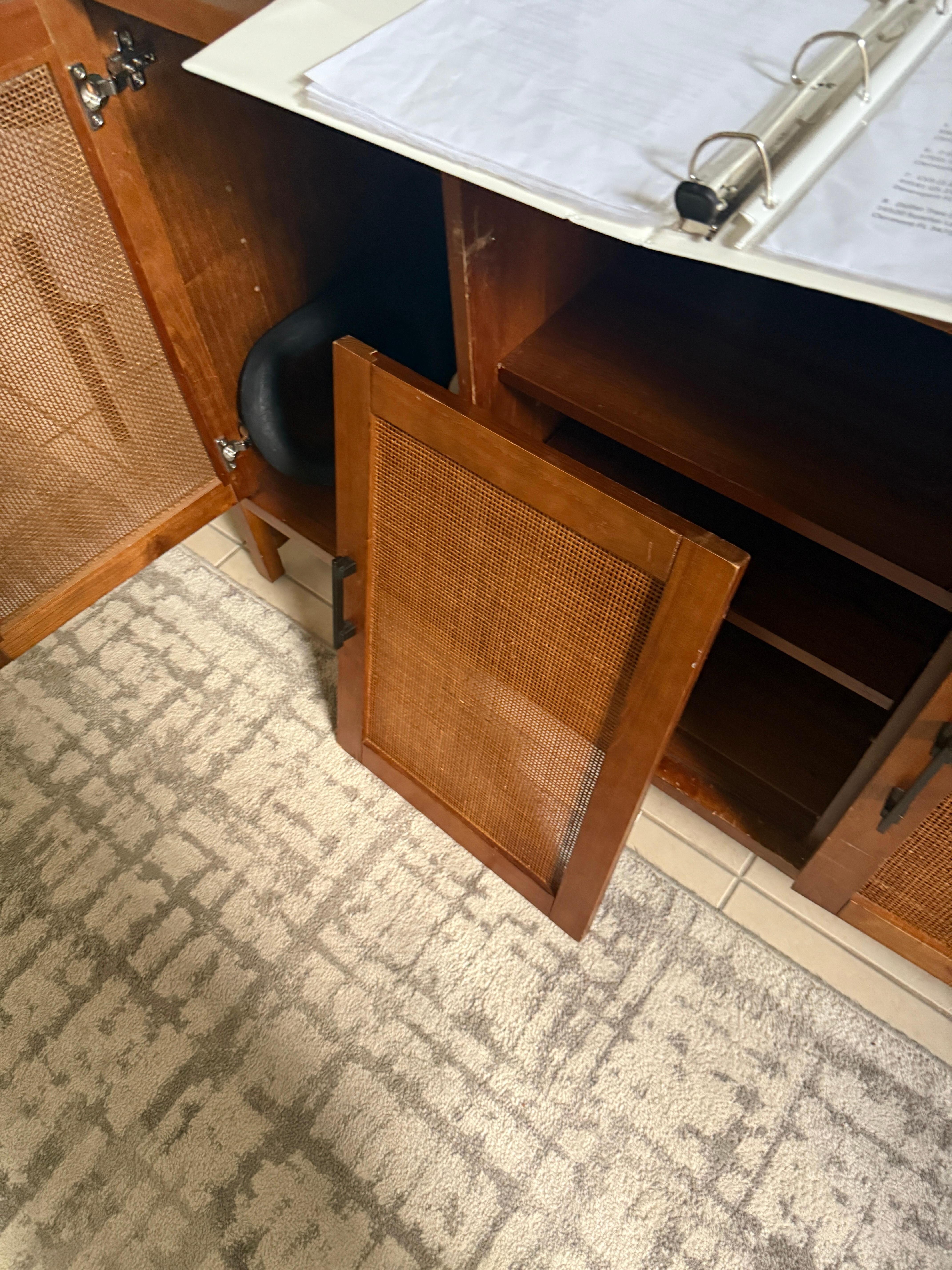 Broken door for entertainment center.