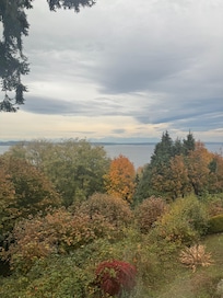 Views from the living room