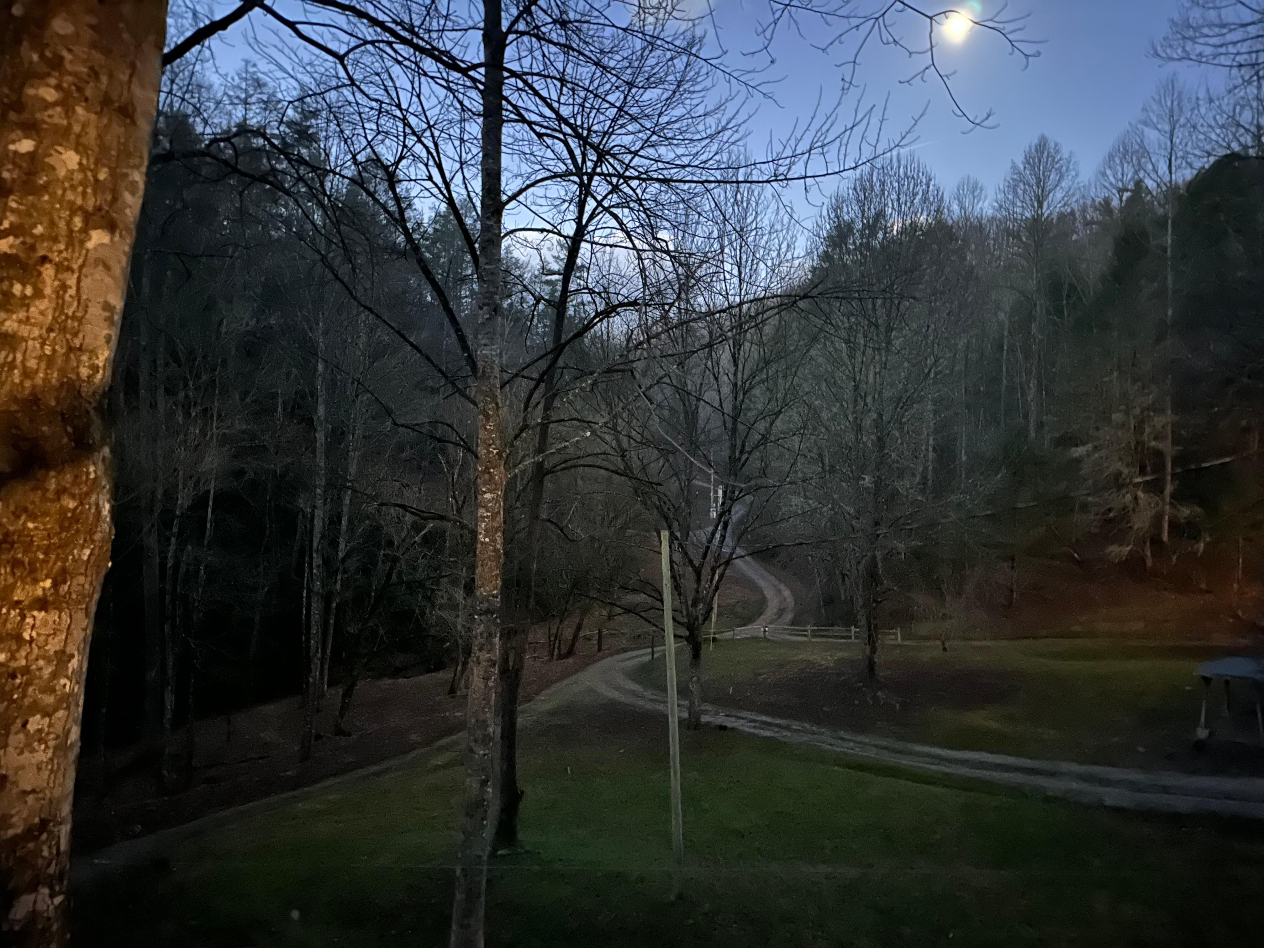 Heading out for a morning walk….