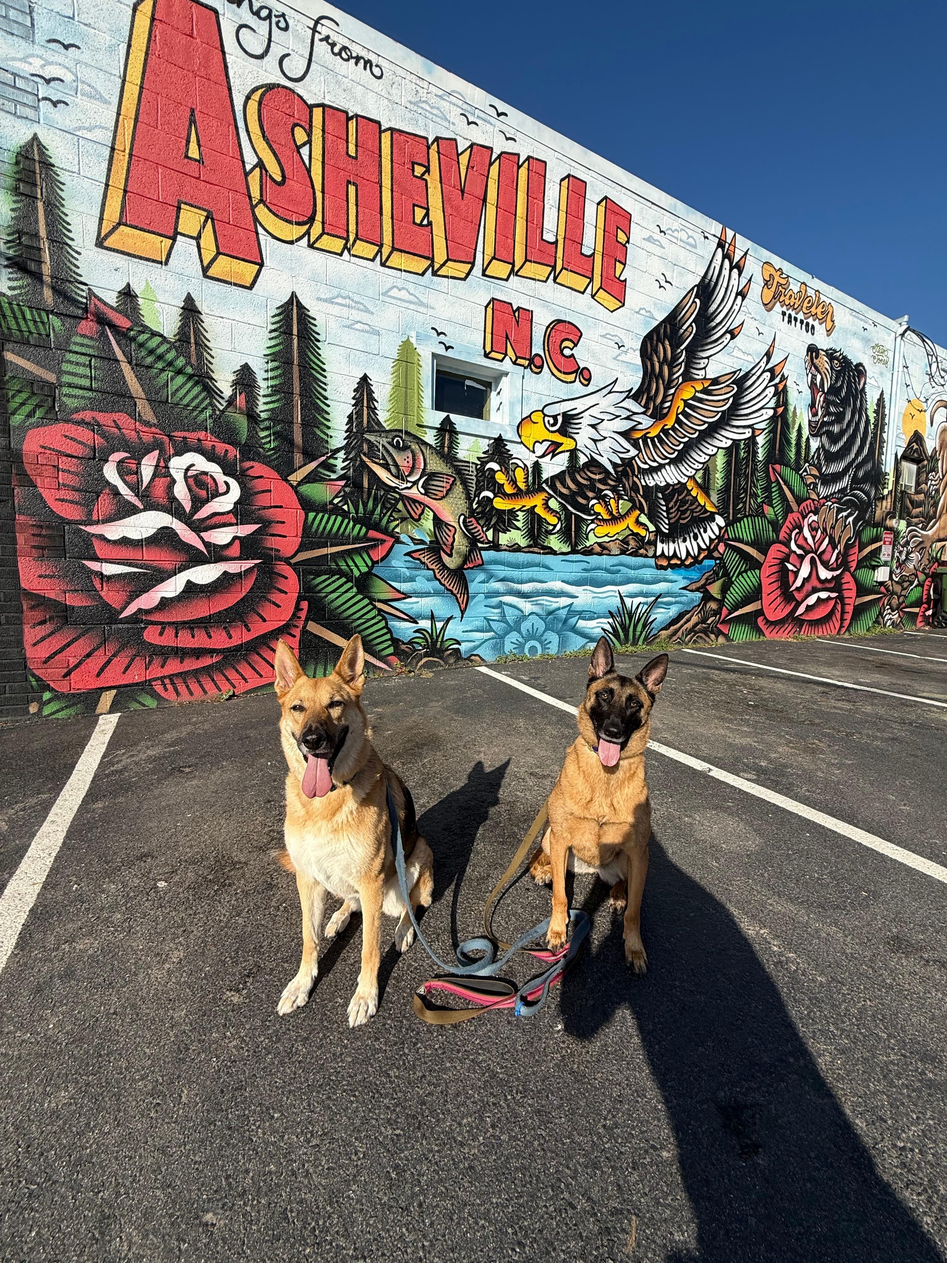 Walkable to west Asheville. 