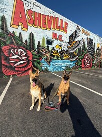 Walkable to west Asheville.