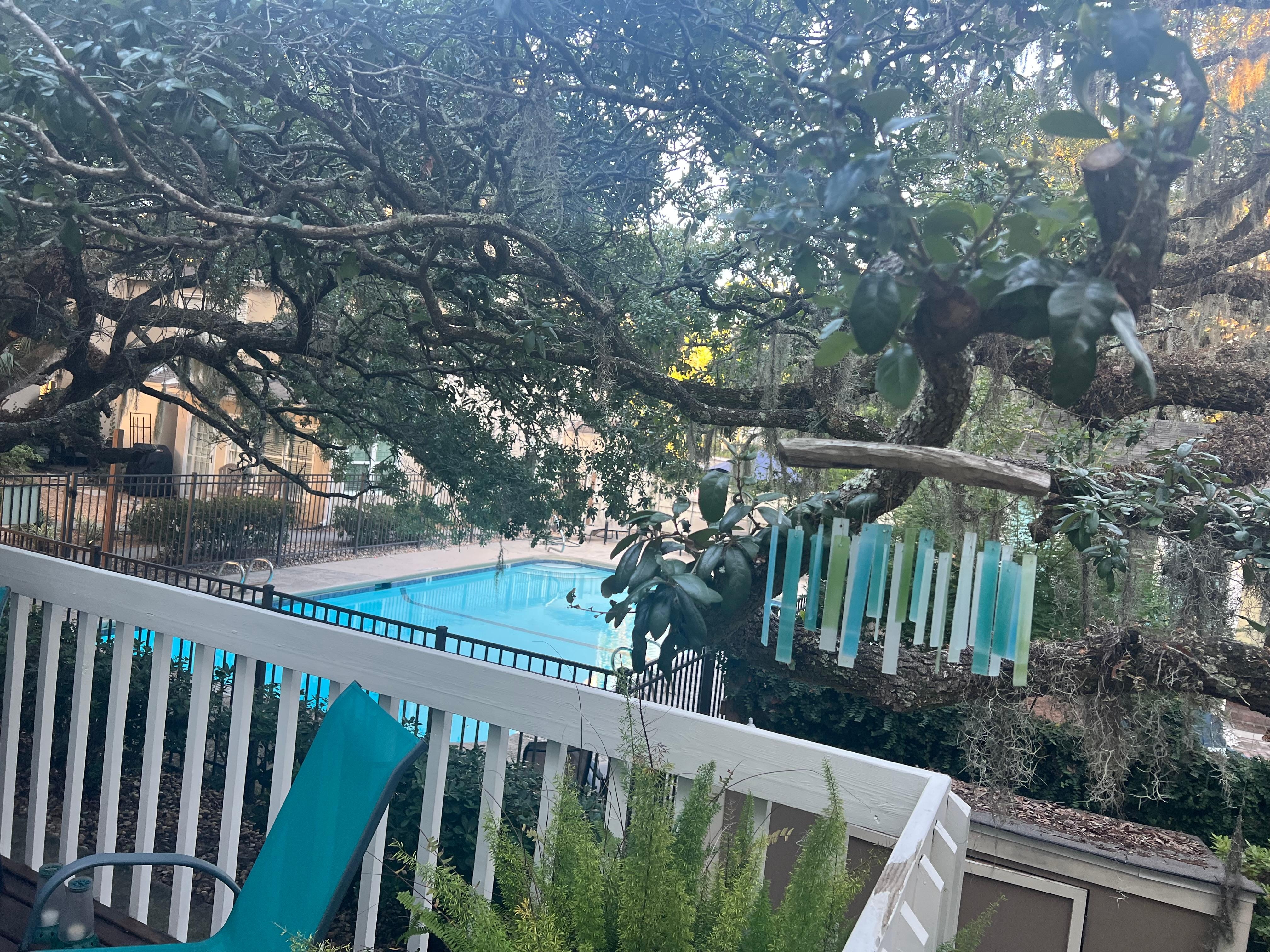 View of pool from the back deck area. 