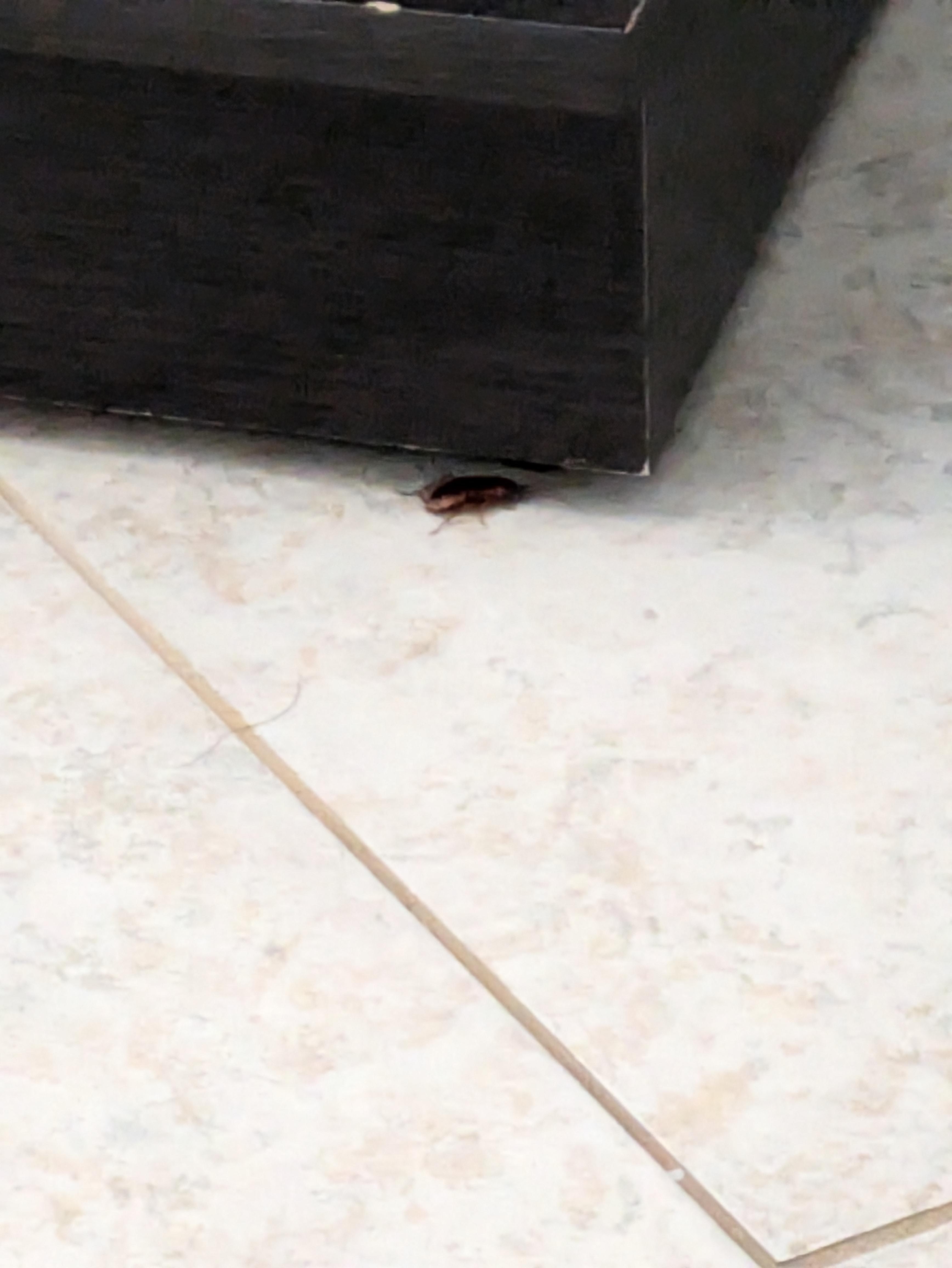 Primary bathroom on main floor