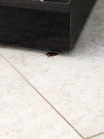 Primary bathroom on main floor