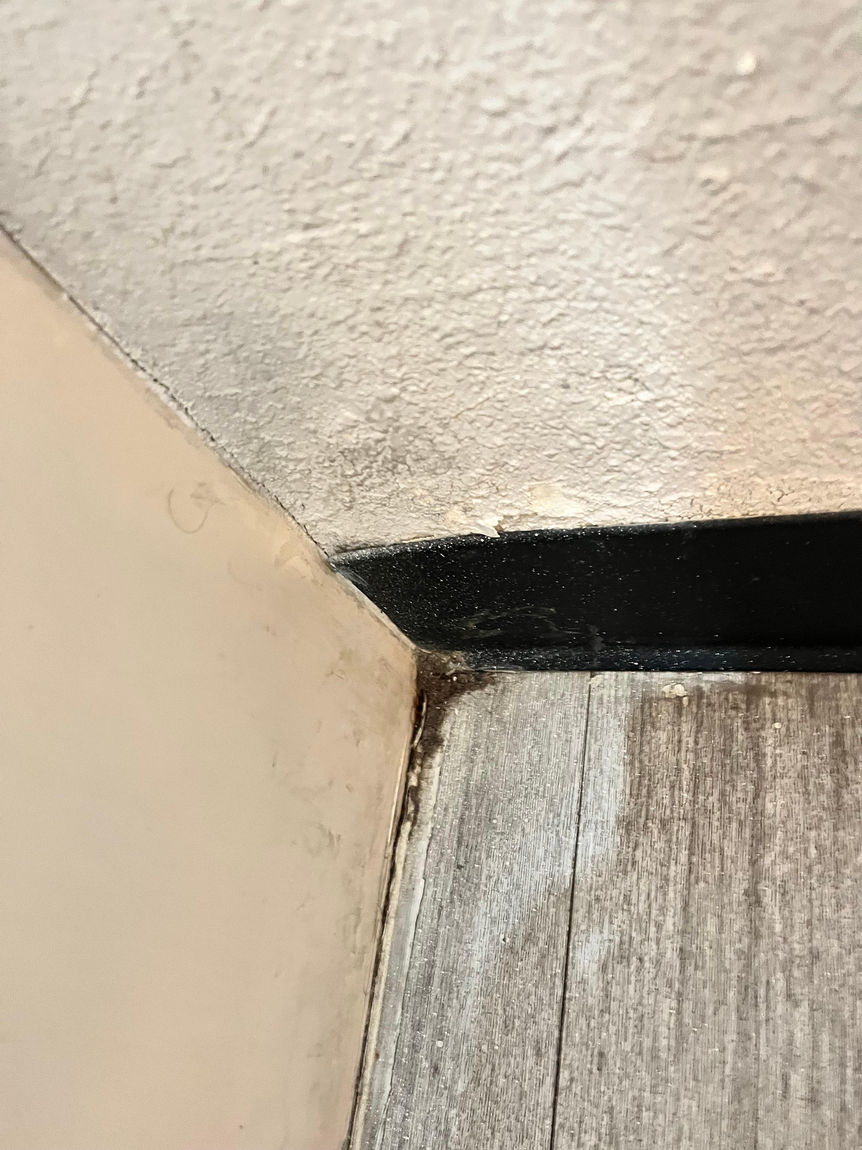 Dust and pubic hairs all around the room and bathroom.