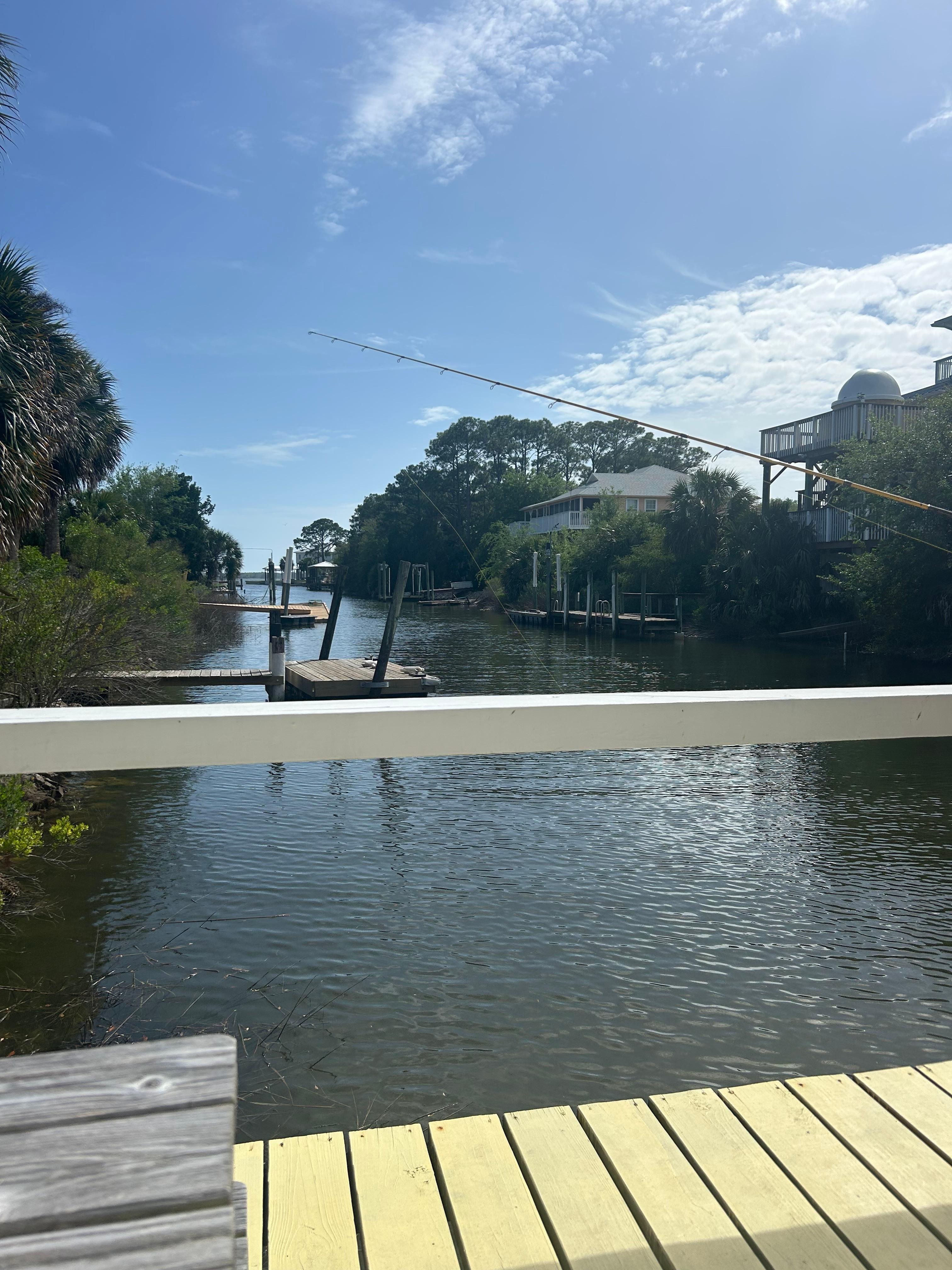 View from deck out back