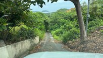 Road to property - really, really bad
