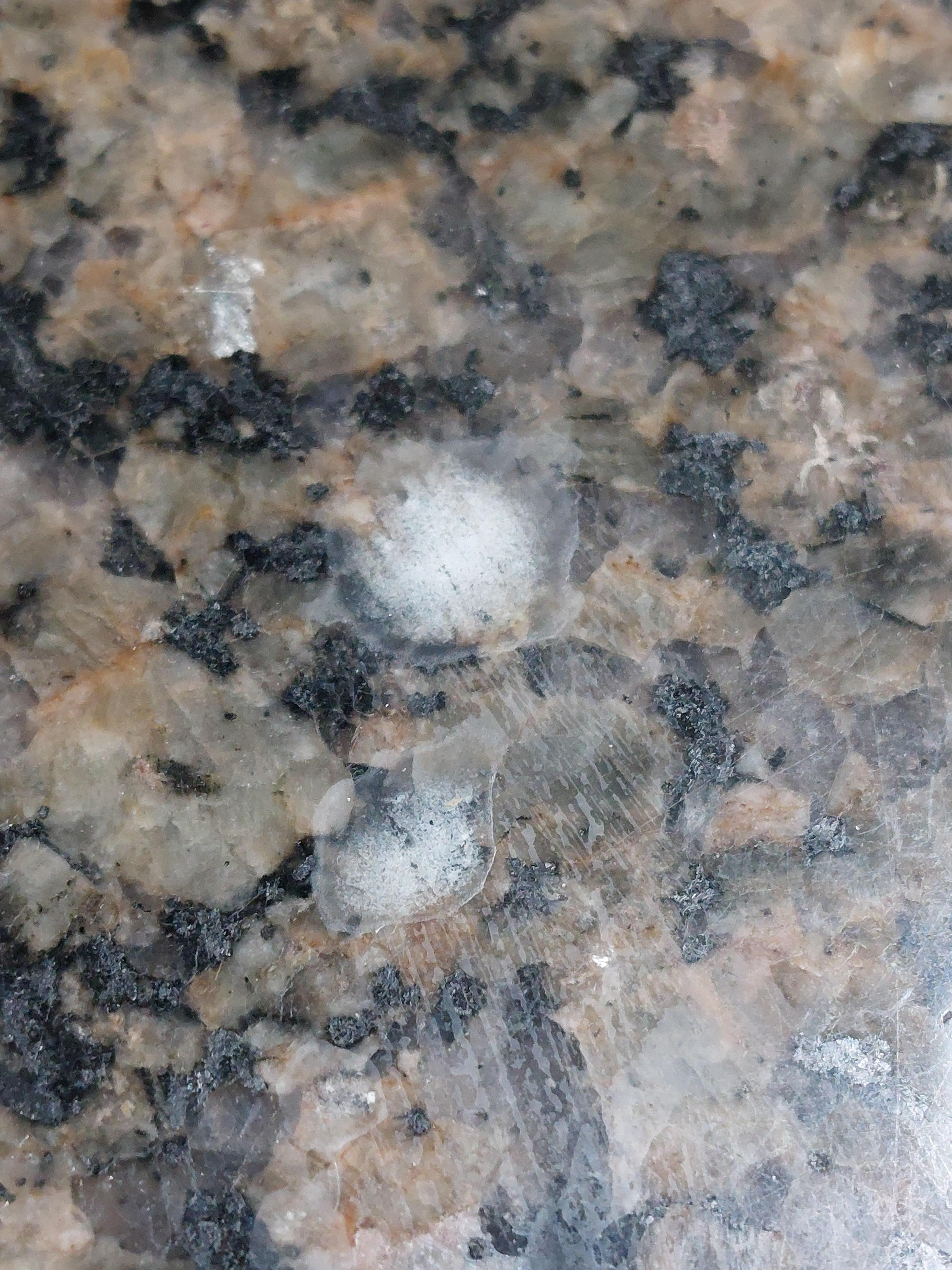 Old toothpaste on bathroom counter.