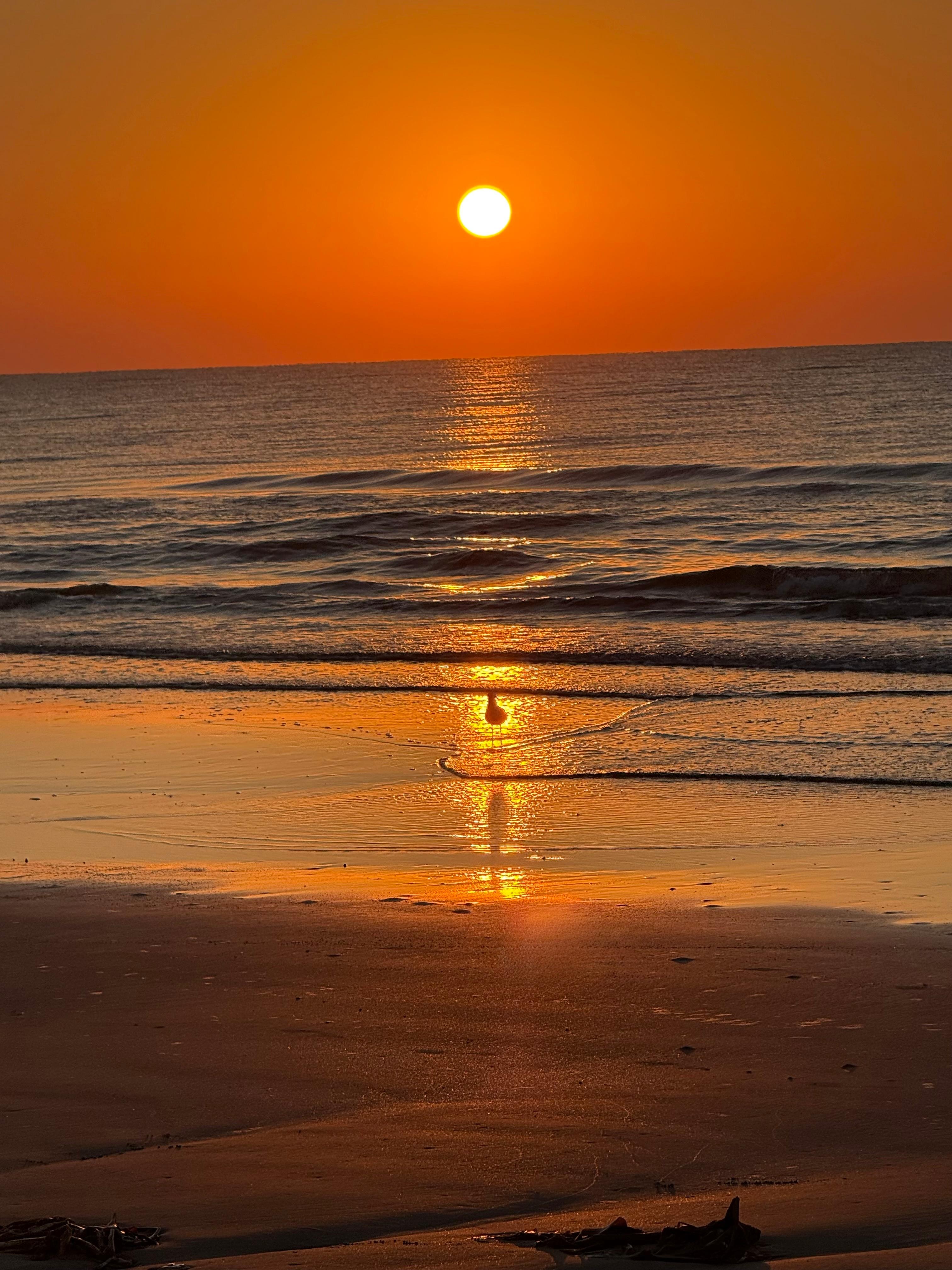 Sunrise surf side beach