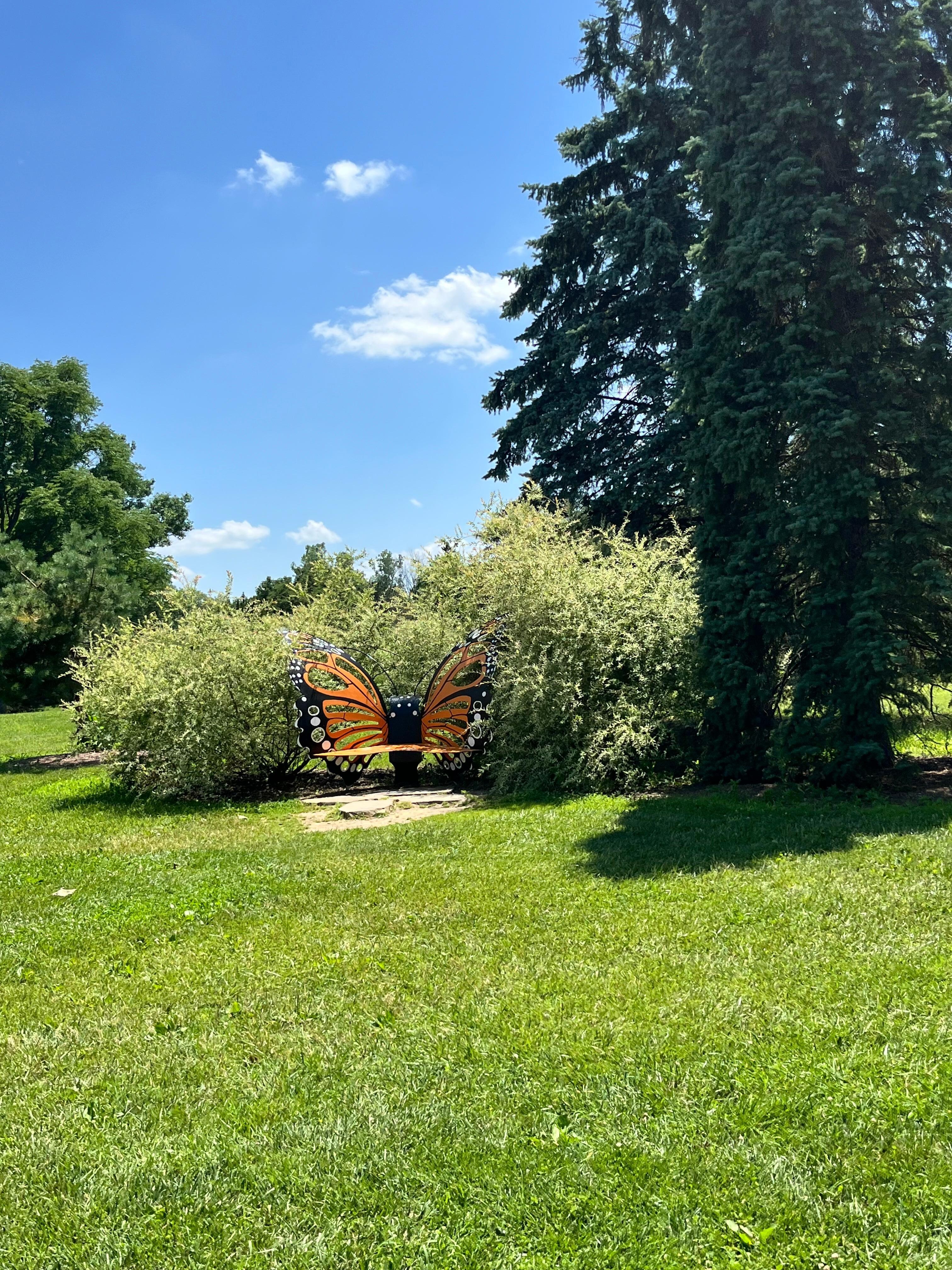 Sun shine at the nature center 