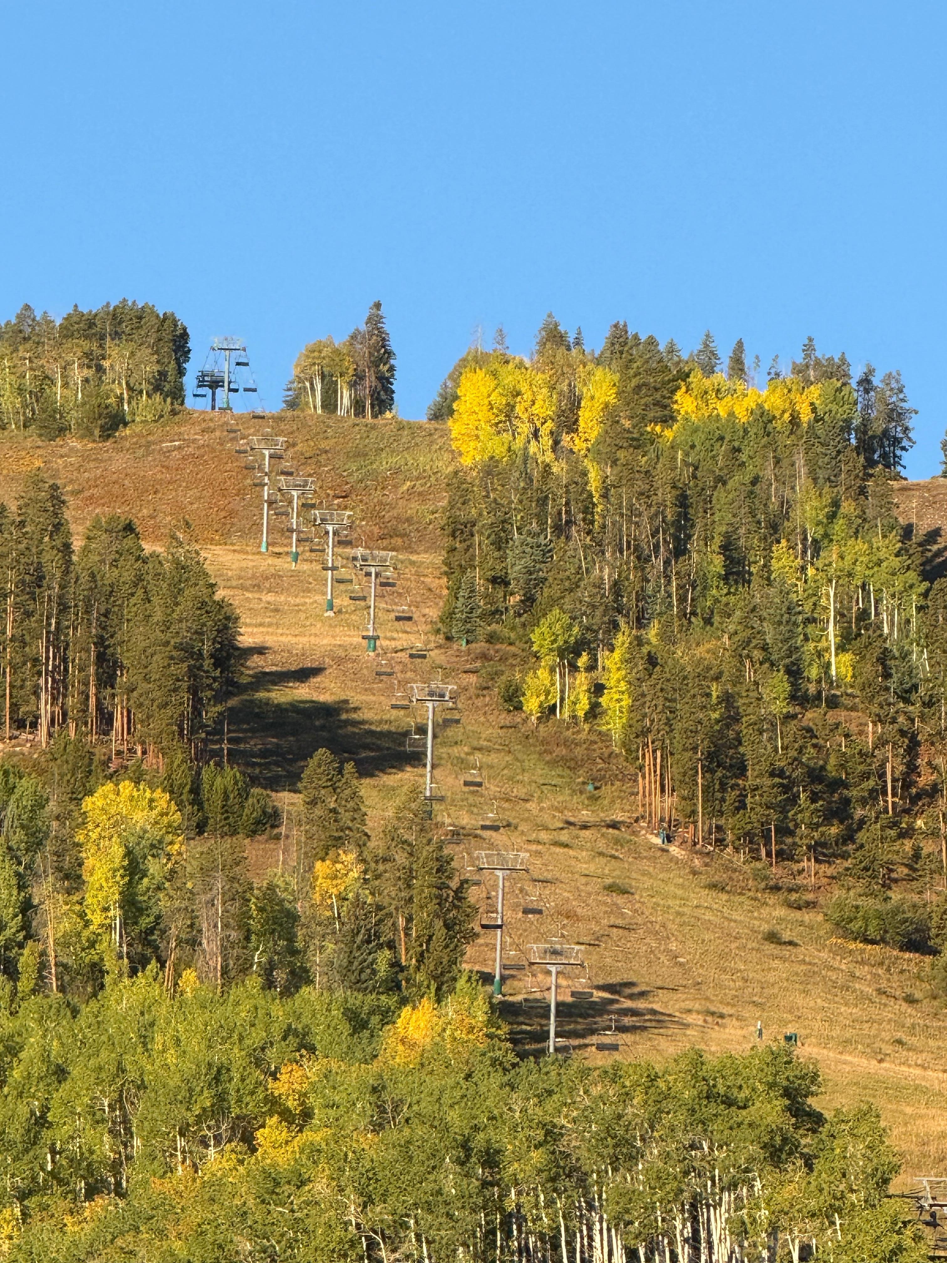 Aspens turning