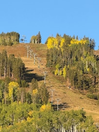 Aspens turning