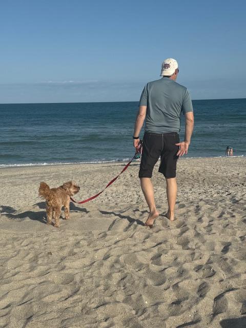 Who is walking whom?