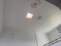 Black mold