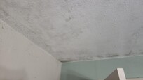 Mold